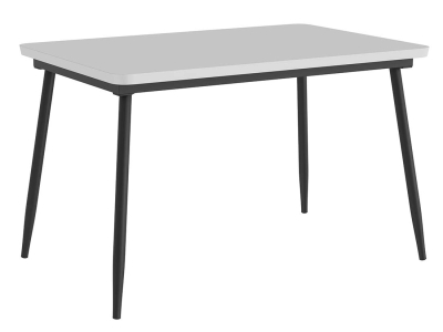 Стол 120х80 "Детройт" белый ЛДСП (подстолье конус черное) Стол 120х80 "Детройт" белый ЛДСП (подстолье конус черное)