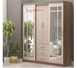Шкаф-купе "Андрей 1 Ясень"